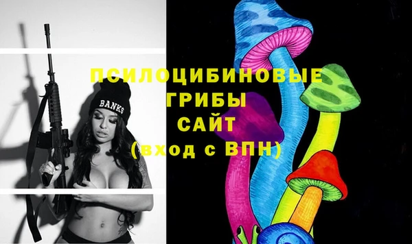 Альфа ПВП Армянск