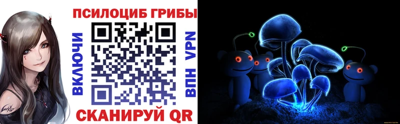 купить закладку  Сухиничи  Галлюциногенные грибы Psilocybe 